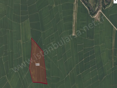 Çatalca Ormanlı Satılık Tarla Arsa 3 837 M2 Hisseli Yolu Var Mah