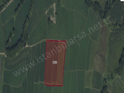 Çatalca Çiftlikköyde Satılık Tarla Arsa 220 M2 Çaplı Yolu Var Çiftlikköy Mah