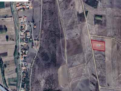 Land For Sale in  Turkey, Kirklareli, Babaeski, Agayeri Koyu , 3780 m2