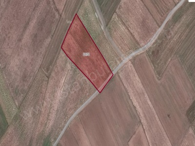 Tekirdağ Saray Beyazköyde Satılık Tarla Arsa 308 M2 Hisseli Yolu Var Beyazköy Mah