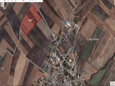 Tekirdağ Saray Osmanlı Köyünde Satılık Tarla Arsa 985 M2 Hisseli Yolu Var Köye Yakın Mah