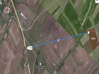 Tekirdağ Saray Osmanlı Köyünde Satılık Tarla Arsa 1 966 M2 Yolu Var Hisseli Mah