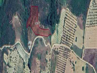 Ackerland Kaufen In  Türkei, Tekirdag, Sarkoy, Tepekoy Str. , 4215 m2