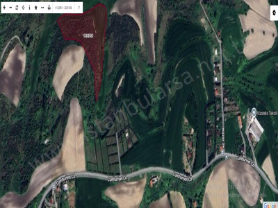 Arnavutköy Boyalıkta Satılık Tarla Arsa 1000 M2 Hisseli Yolu Var İmarlı Boyalık Mah