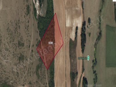 Arnavutköy Boyalıkta Satılık Tarla Arsa 935 M2 Hisseli Yolu Var İmarlı Boyalık Mah