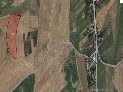 Arnavutköy Çilingirde Satılık Tarla 16 963 M2 Müstakil Yolu Var Evlerin Yakını Çilingir Mah