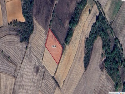 Kırklareli Pehlivanköy Kurtuluş Mh Satılık Arsa 892 M2 Çaplı Hisseli Mah