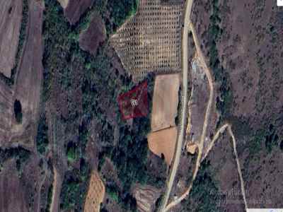 Field For Sale in  Turkey, Kirklareli, Pehlivankoy, Yesilpinar Koyu , 1575 m2