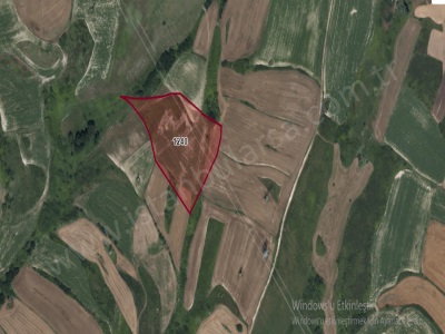 Arnavutköy Sazlıbosna Satılık Arsa 3 800 M2 Hisseli İmarlı Mah