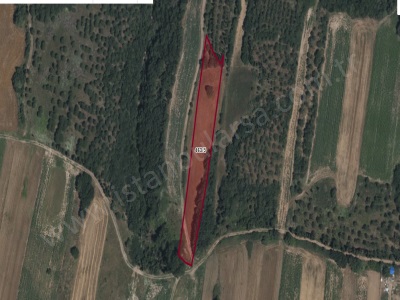 Silivri Değirmenköyde Satılık Arsa Tarla 3 227 M2 Müstakil Yolu Var Fevzipaşa Mah