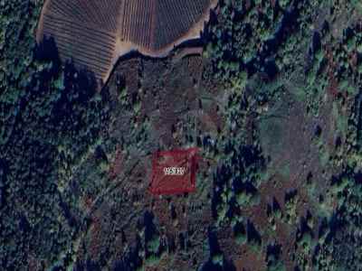 Field For Sale in  Turkey, Yalova, Altinova, Sermayecik Koyu , 361 m2