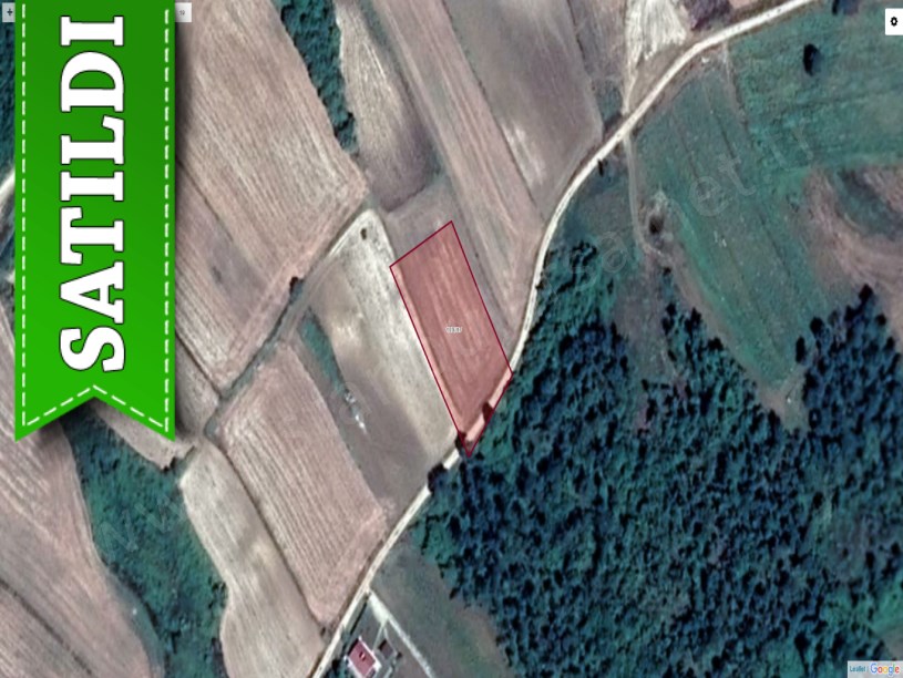 Dağyenice Çatalca da satılık tarla