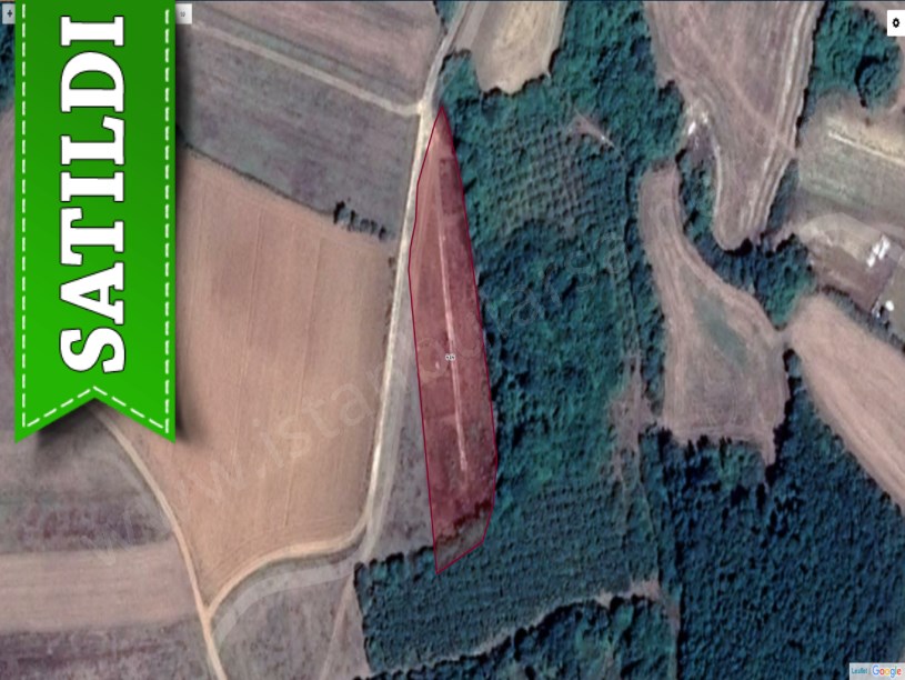Dağyenice Çatalca da satılık tarla