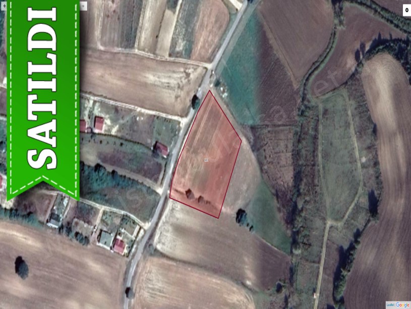 Dağyenice Çatalca da satılık tarla