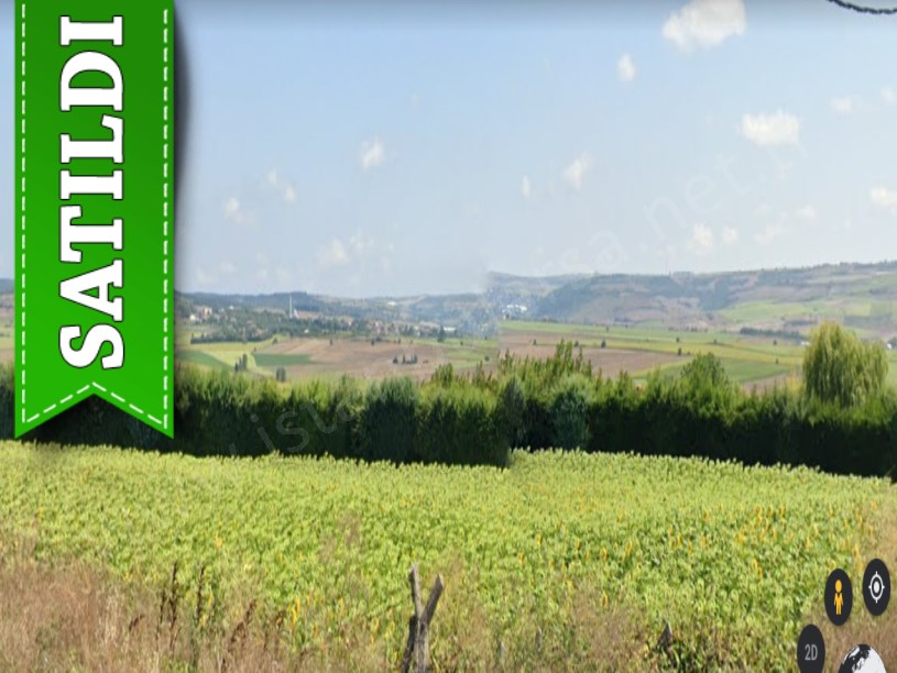 Çatalca Kestanelikte Satılık Tarla , 4,815 m2 Tek Tapu Yolu Var