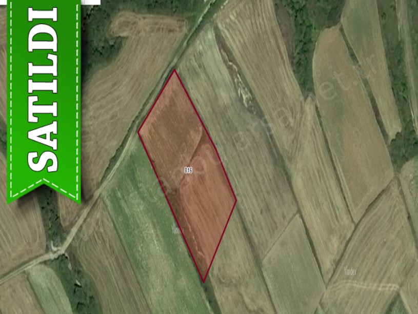 Tekirdağ Saray Kurtderede Satılık Arsa , 386 m2 Hisseli Yolu Var