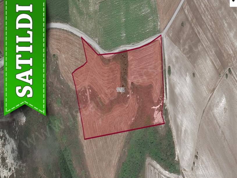 Çatalca Örcünlüde Satılık Tarla ,18,500 M2 Müstakil Yola Cephe
