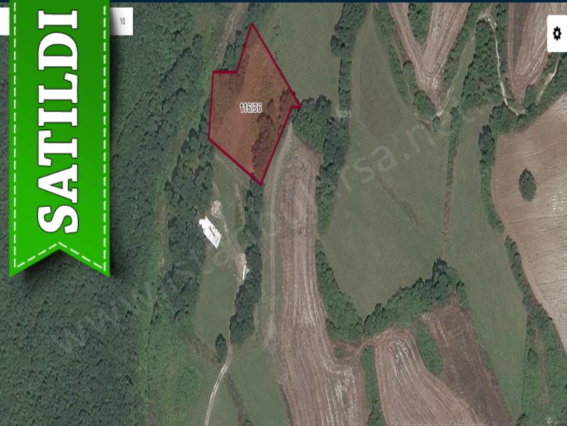 Çatalca Celepköyde Satılık Arsa , 270 m2 Yola Cephe Çaplı