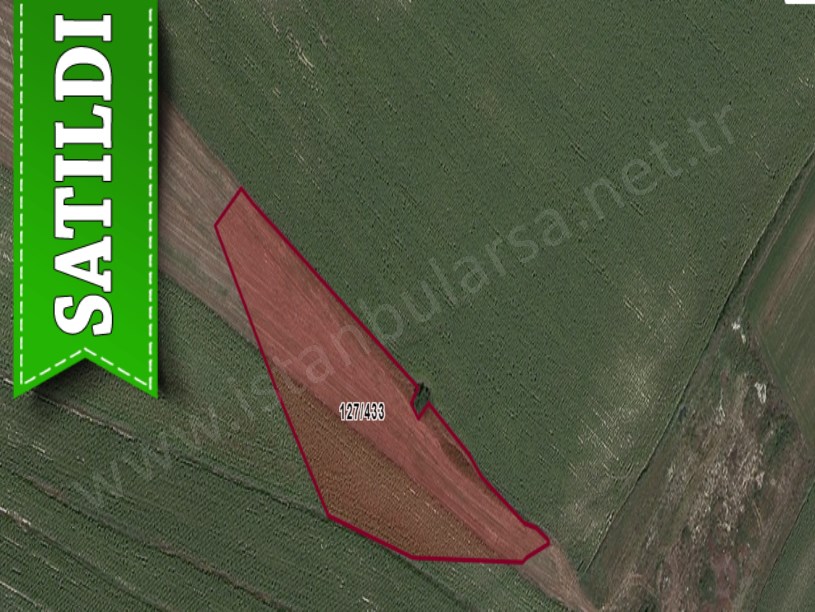 Çatalca Nakkaşta  Satılık  Arsa , 237 M2 Hisseli