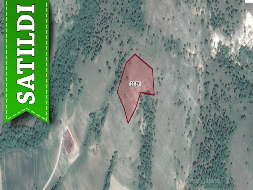 Kırklareli Kofçaz  Terzidere Köyünde Satılık Tarla , 11,215 m2 Çiftlik İçin Uygun Müstakil