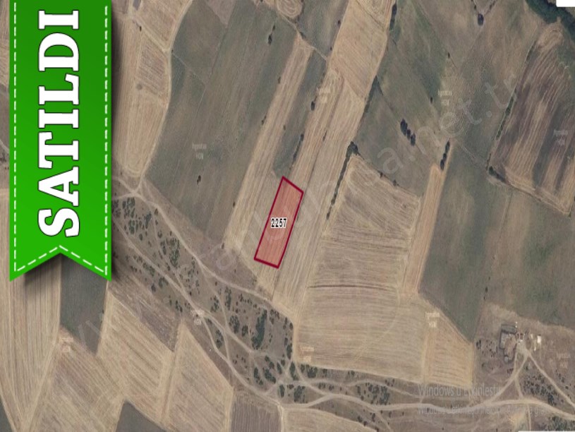 Edirne Süloğlu Büyükgerdelli Köyünde Satılık Tarla , 3,700 m2 Müstakil Çiftlik İçin Uygun