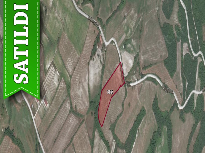 Çatalca Yazlıkköy,de Satılık  Tarla , 7,344 m2 Yolu Var Müstakil