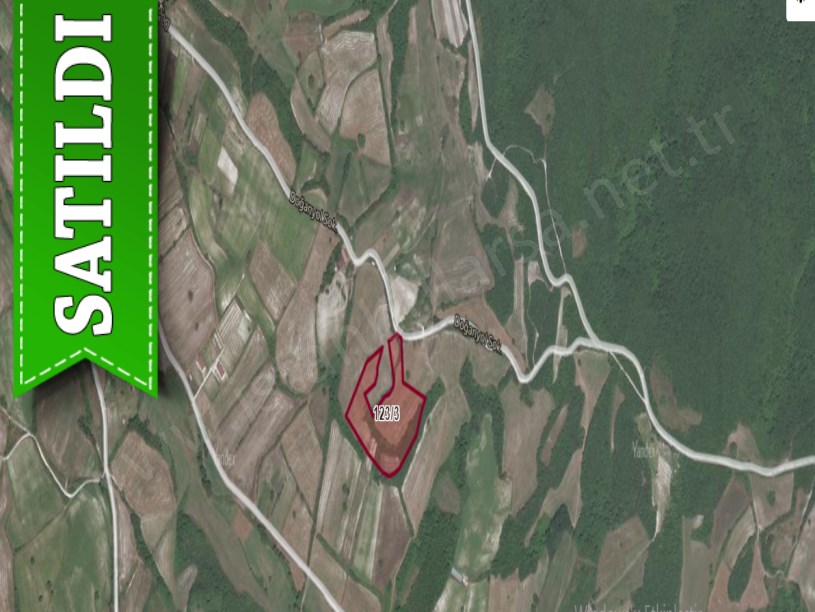 Çatalca Yazlıkköy,de Satılık  Tarla , 4,600 M2 Müstakil Yola Cephe