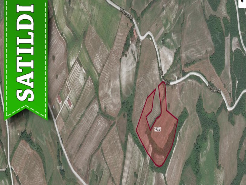 Çatalca Yazlıkköy,de Satılık  Tarla , 4,600 M2 Müstakil Yola Cephe