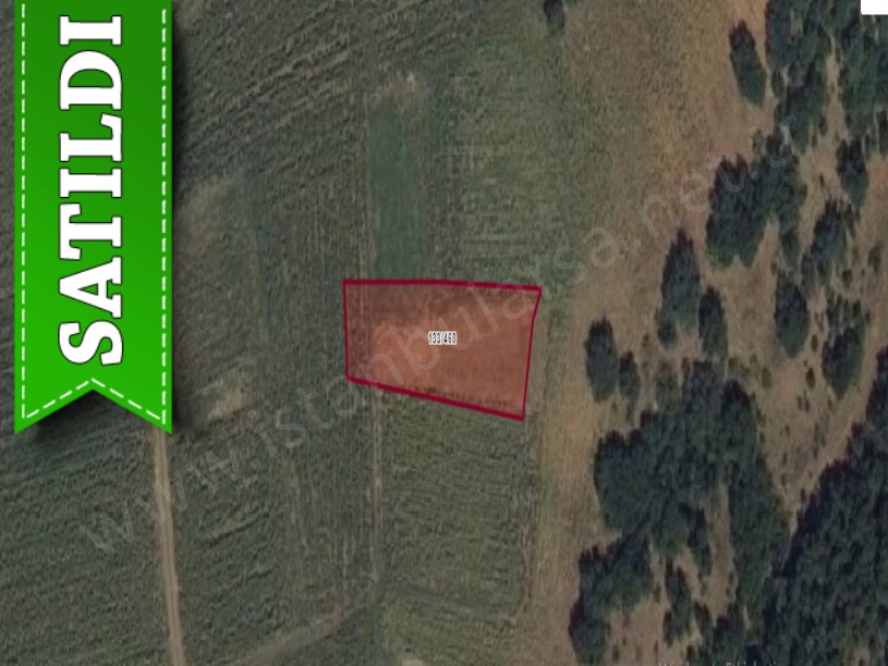 Kırklareli Pınarhisar Sütlüce,de Satılık Tarla , 944 M2 Yolu Var Müstakil