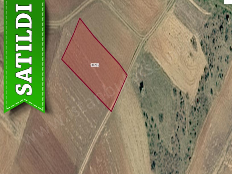Kırklareli Pınarhisar Sütlüce,de Satılık Tarla , 1,482 M2 Müstakil