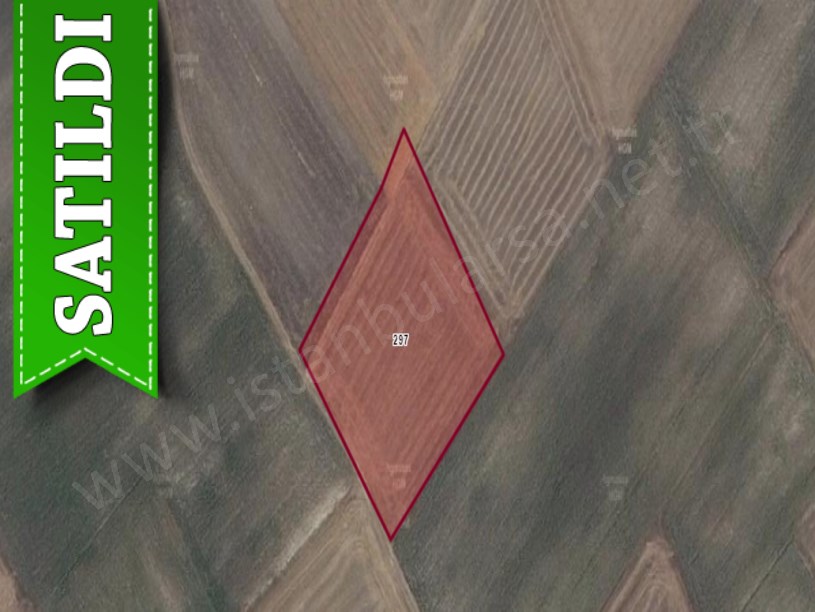 Tekirdağ Saray Servi Mah. Satılık Tarla ,6,120 m2 Müstakil Yolu Var
