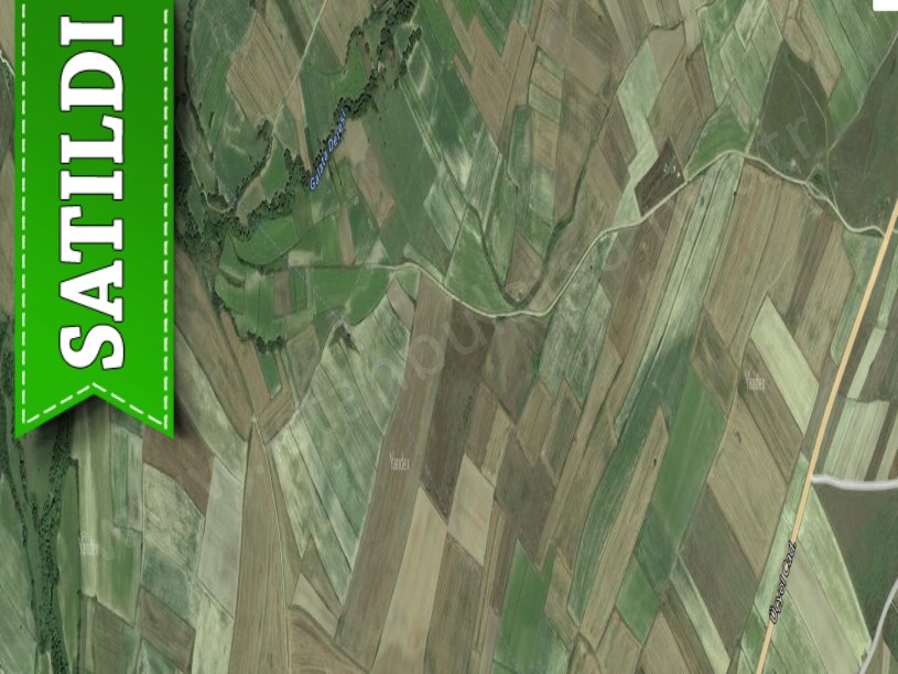Tekirdağ Saray Çaylada Satılık Tarla , 4,200 m2 Müstakil