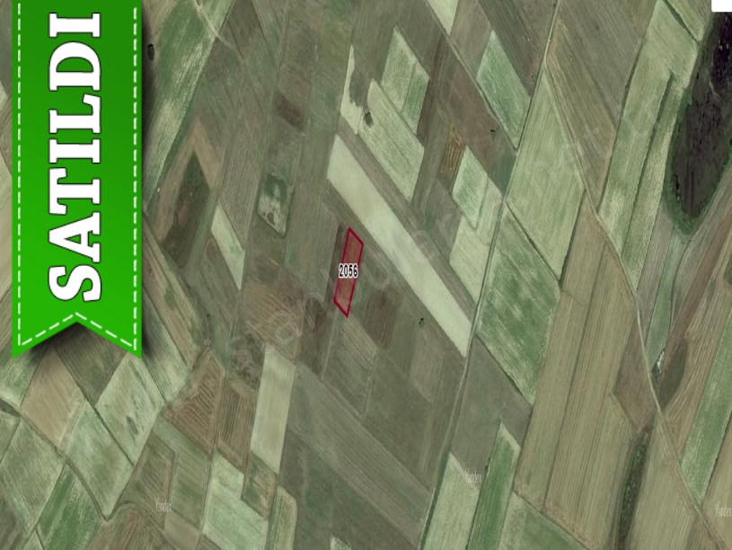 Tekirdağ Saray Çukuryurtta Satılık Tarla , 1,420 m2 Müstakil