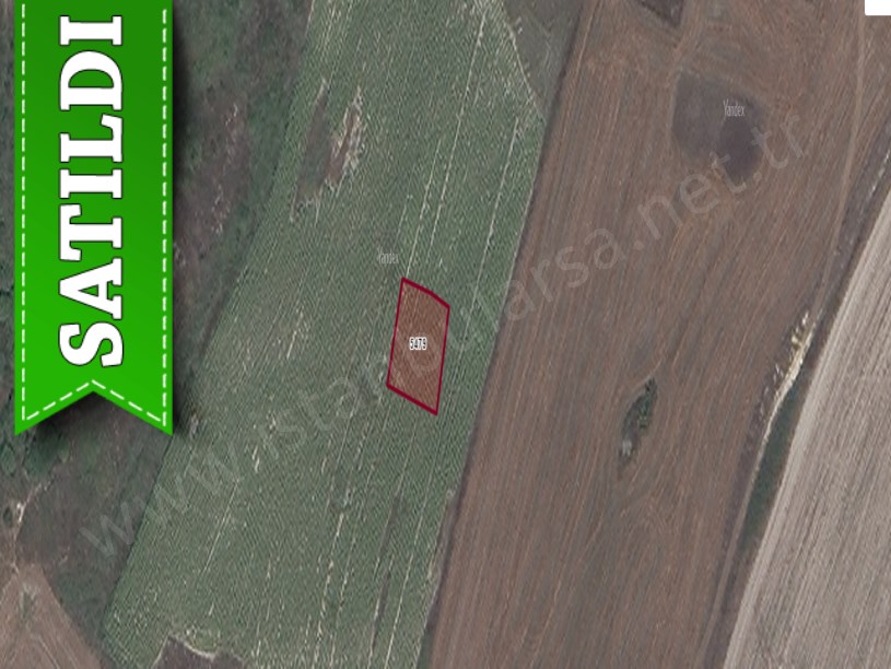 Arnavutköy Sazlıbosnada Satılık Arsa , 272 m2 Müstakil Yolu Var