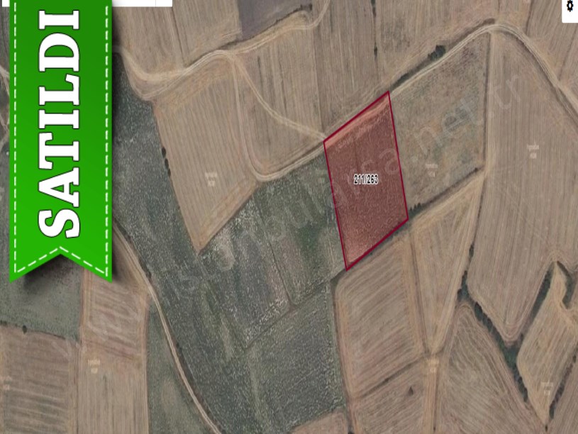 Tekirdağ Hayrabolu Şalgamlı,da Satılık Tarla , 5,125 M2 Yolu Var Müstakil