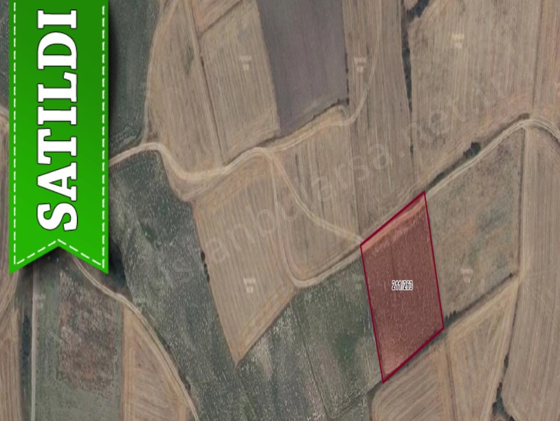 Tekirdağ Hayrabolu Şalgamlı,da Satılık Tarla , 5,125 M2 Yolu Var Müstakil