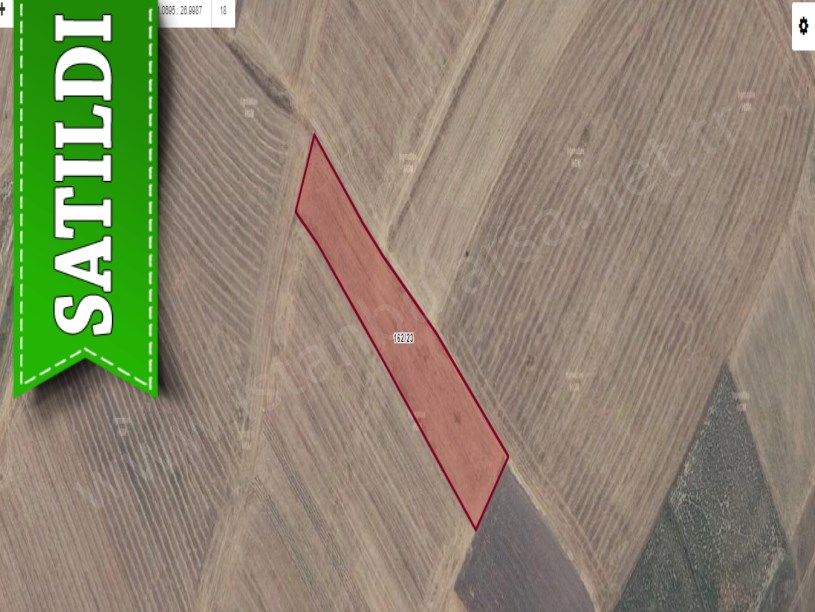 Tekirdağ Hayrabolu Şalgamlı,da Satılık Tarla , 5,800 M2 Köye Yakın Yolu Var 