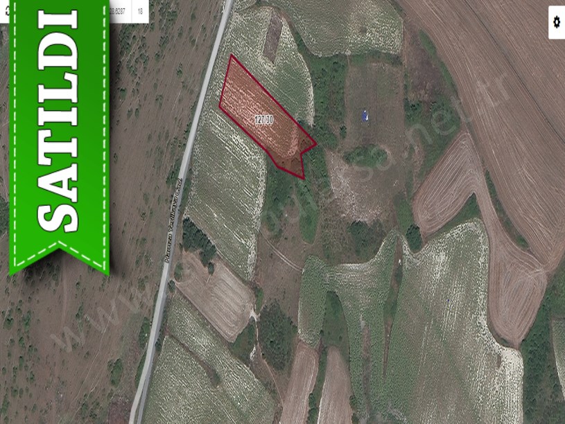 Arnavutköy Boyalıkta Satılık Arsa , 500 M2 Cadde Cephe 