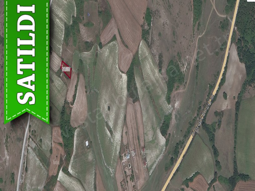 Arnavutköy Boyalıkta Satılık Arsa , 800 m2 Müstakil Caddeye Yakın