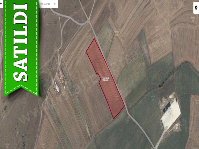 Tekirdağ Ergene Yulaflı Satılık Tarla , 18,800 m2 Asfalt Yola Cephe Müstakil
