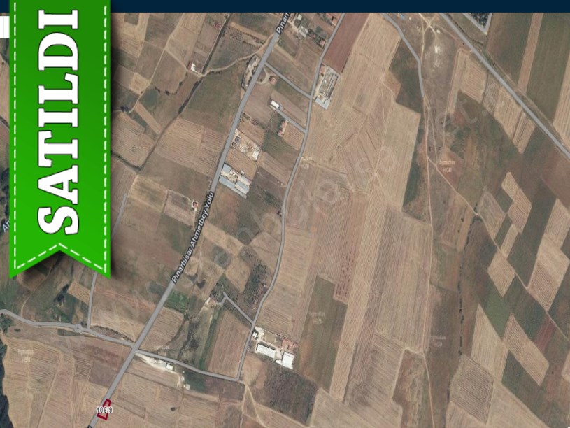 Kırklareli Pınarhisar Sütlüce,de Satılık Tarla , 904 M2 Cadde Cephe Müstakil