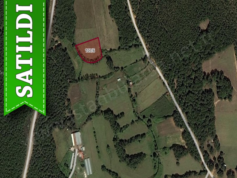 Çatalca Ormanlıda Satılık Tarla , 3,800 m2 Müstakil Asfalt Yola Yakın 