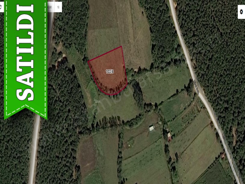 Çatalca Ormanlıda Satılık Tarla , 3,800 m2 Müstakil Asfalt Yola Yakın 