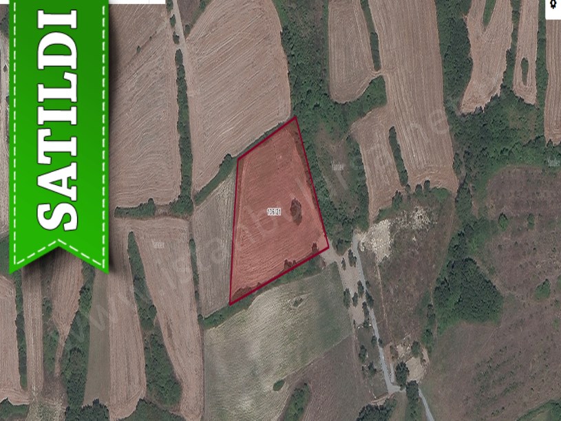 Arnavutköy Balabanda Satılık Arsa , 284 M2 Asfalt Cadde Yakını 
