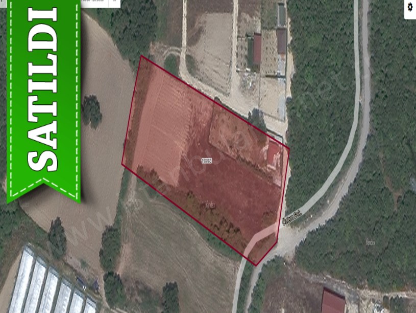 Arnavutköy Balabanda Satılık Arsa , 216 m2  Yolu Var Evlerin Yakını