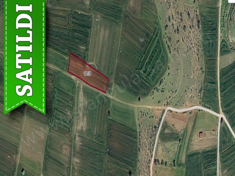 Kırklareli Pınarhisar Sütlüce,de Satılık Tarla , 2,150 m2 Müstakil Yola Cephe