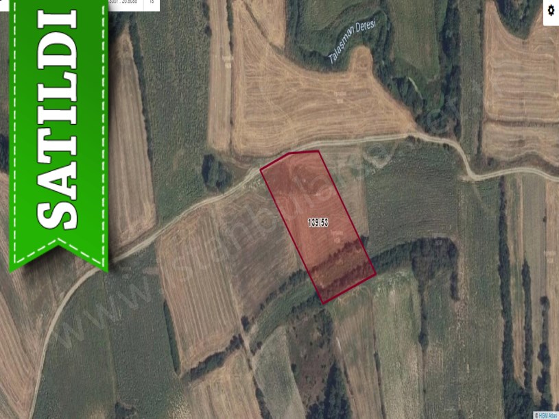 Edirne Uzunköprü Küçükdanişmentte Satılık Tarla , 5,530 m2 Tarla
