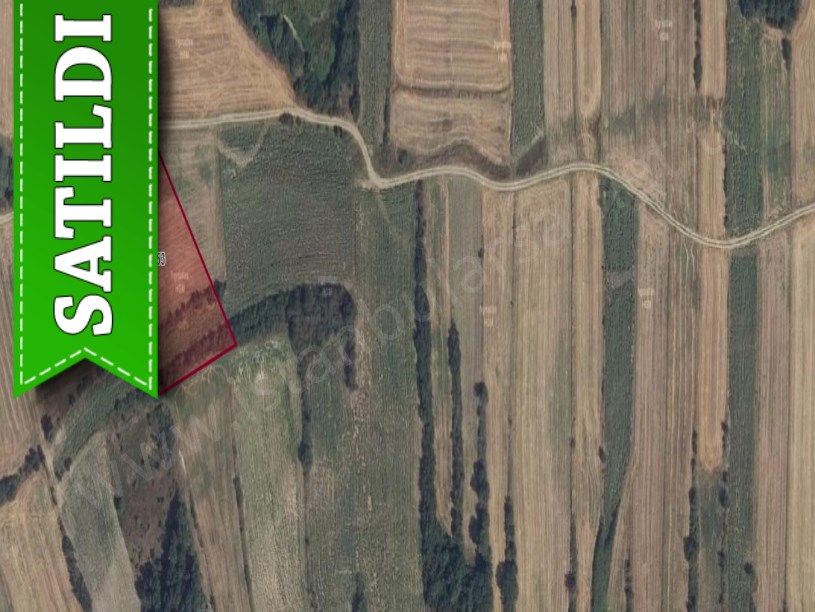 Edirne Uzunköprü Küçükdanişmentte Satılık Tarla , 5,530 m2 Tarla