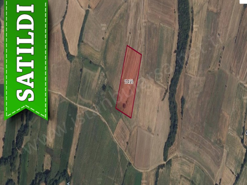 Edirne Uzunköprü Küçükdanişmentte Satılık Tarla , 11,370 M2 Müstakil Yolu Var