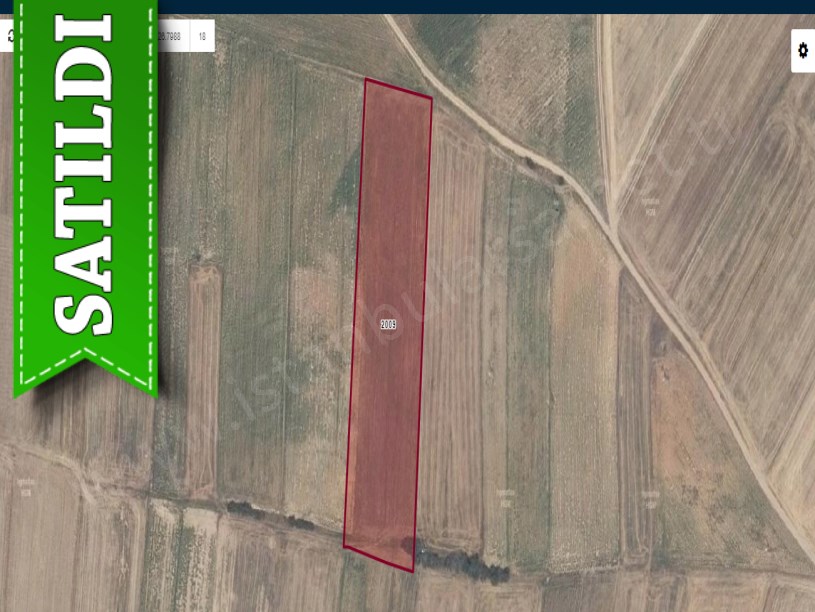 Edirne Uzunköprü Bayramlı Köyünde Satılık Tarla , 9,700 m2 Yolu Var Müstakil